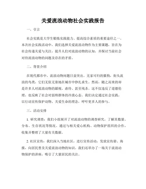 关爱流浪动物社会实践报告