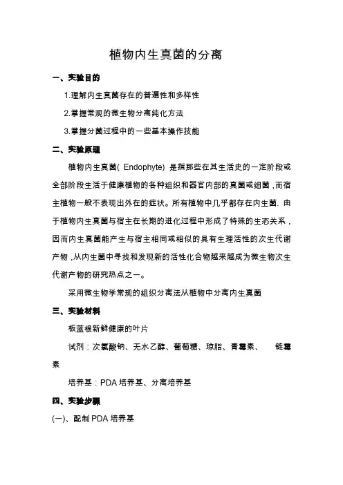 植物内生真菌的分离