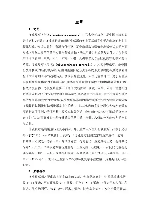 虫草
