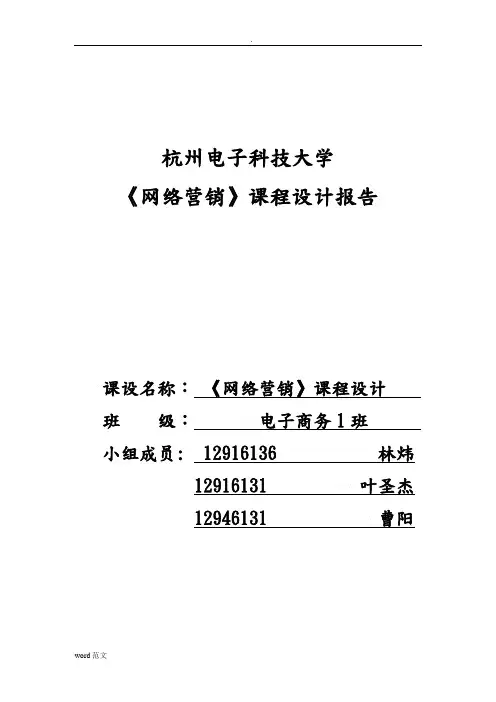 网络营销安踏网站分析