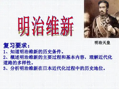 高三一轮复习：明治维新 2