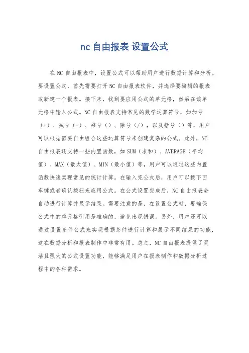 nc 自由报表 设置公式