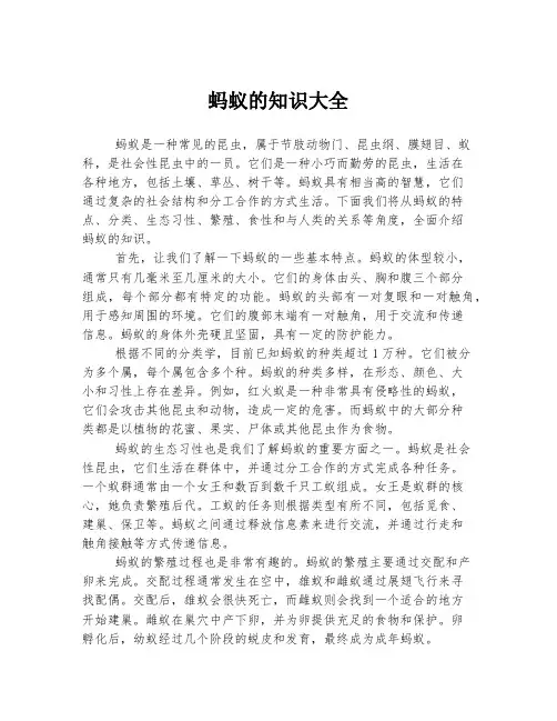 蚂蚁的知识大全