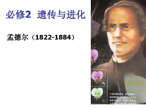 浙科版生物必修二 第一章 孟德尔定律分离定律
