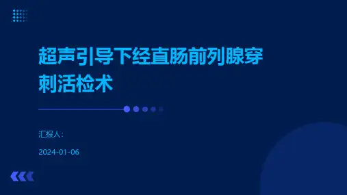 超声引导下经直肠前列腺穿刺活检术