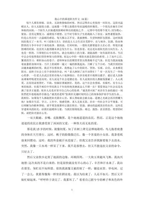 我心中的那道阳光作文(6篇)
