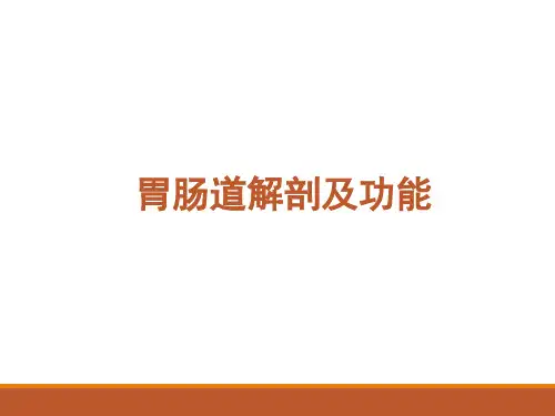 胃肠道解剖及功能