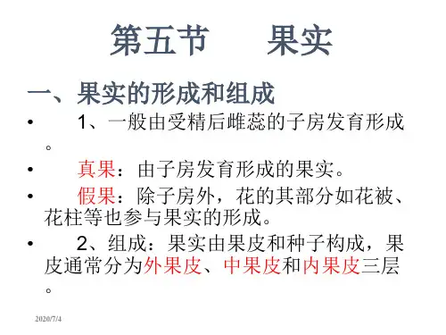 药用植物学课件果实和种子
