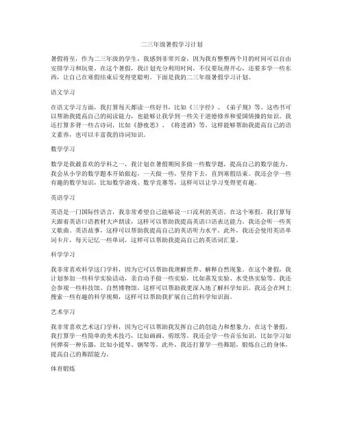 二三年级暑假学习计划