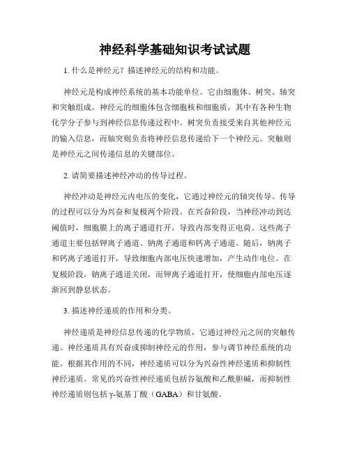 神经科学基础知识考试试题