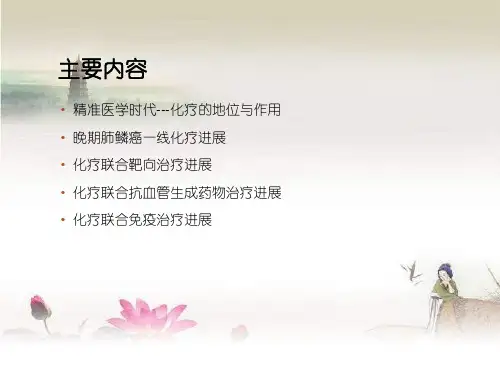 肺癌化疗进展ppt课件