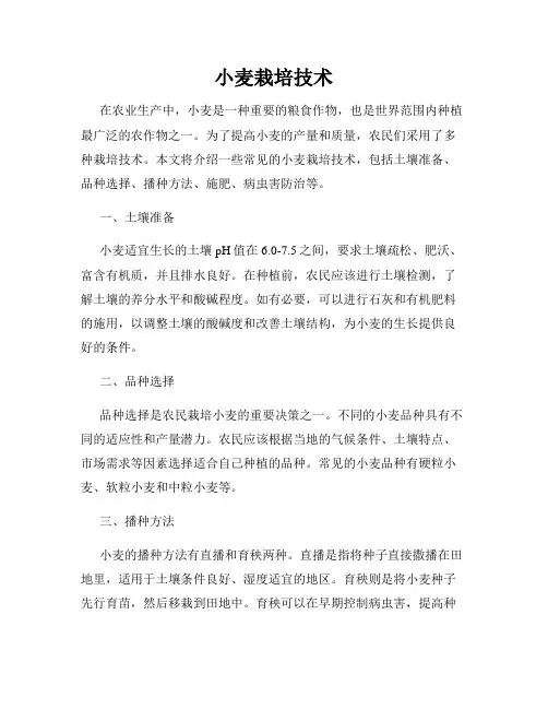 小麦栽培技术