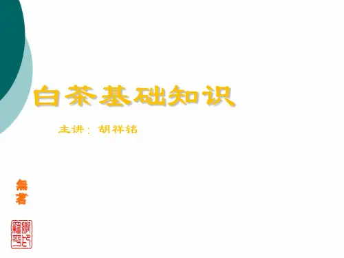 白茶基础知识PPT课件