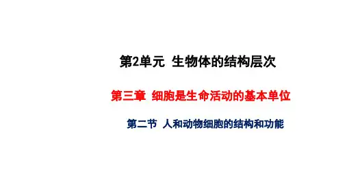 人和动物细胞的结构与功能 教学课件 苏教版七年级生物上册