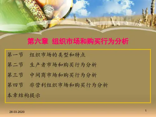 组织市场和购买行为分析34页PPT