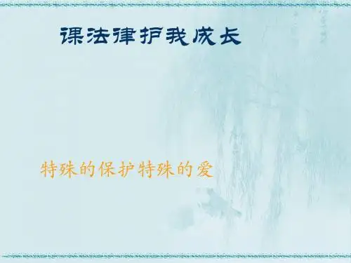 第八课法律护我成长
