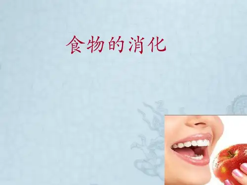 三年级上册科学课件 食物的消化鄂教版 