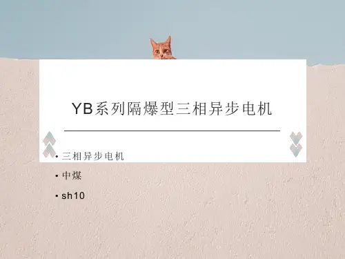 YB系列隔爆型三相异步电机有哪些结构特点？
