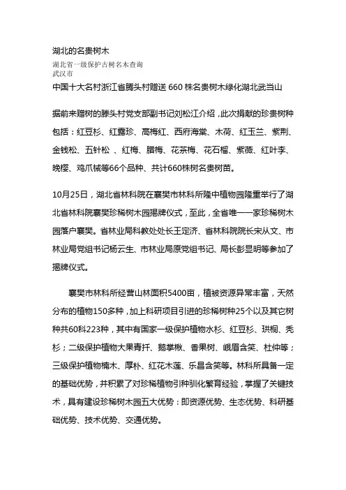湖北的名贵树木