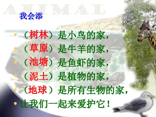 六年级下册科学_保护生物同的家园粤教版24张课件