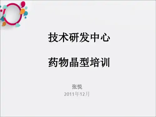 《药物晶型培训》PPT课件