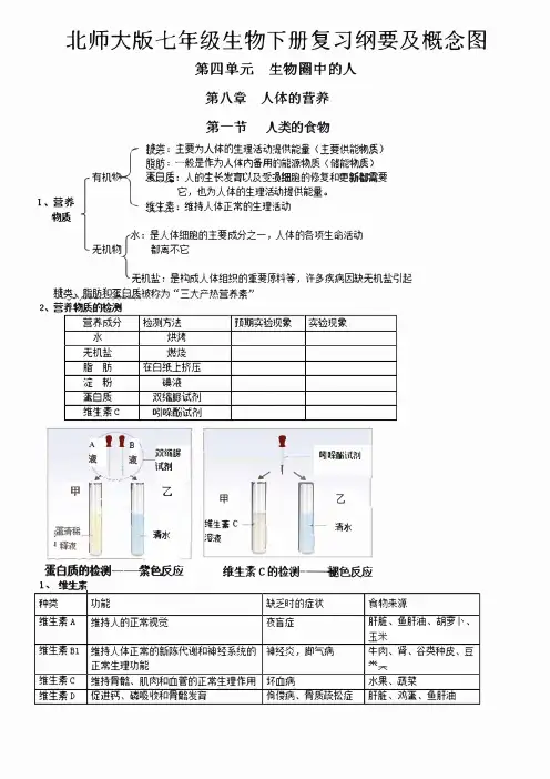 北师七下-北师大版七年级生物下册复习纲要及概念图