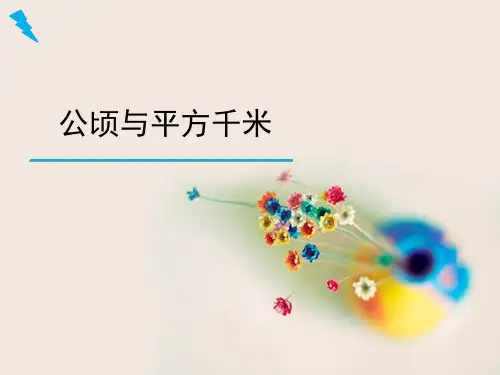 《公顷与平方千米》教学课件
