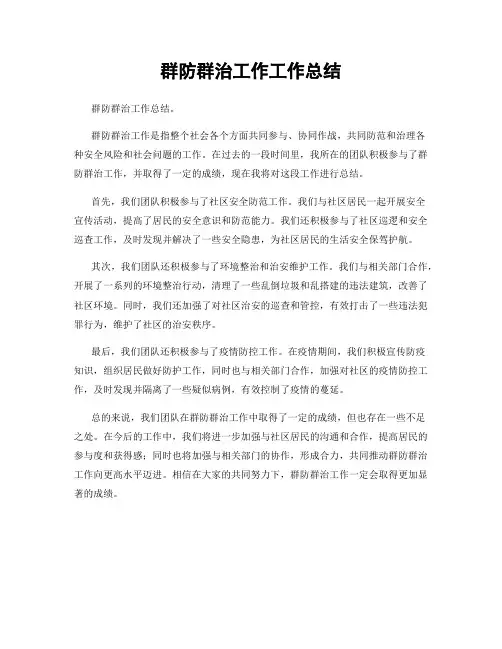群防群治工作工作总结