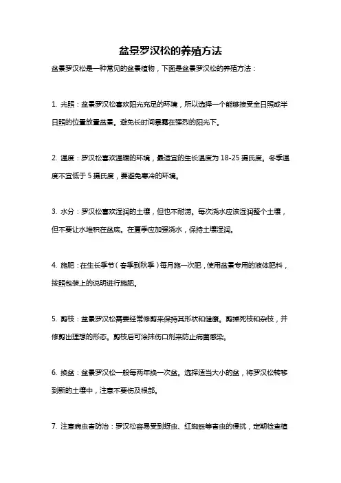 盆景罗汉松的养殖方法