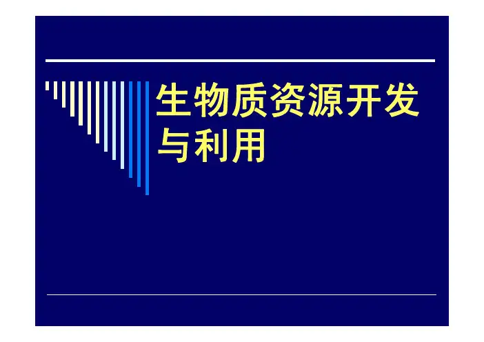 生物质沼气技术