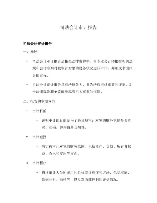司法会计审计报告