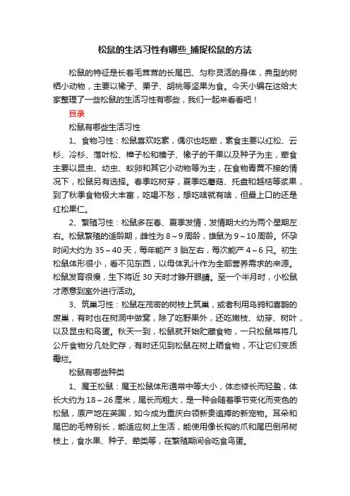 松鼠的生活习性有哪些_捕捉松鼠的方法