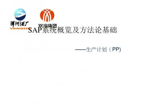 SAP业务蓝图案例及培训