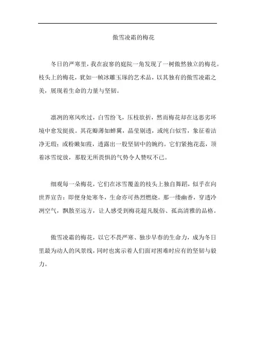 傲雪凌霜的梅花