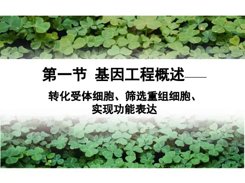 第一章 基因工程第1节基因工程3