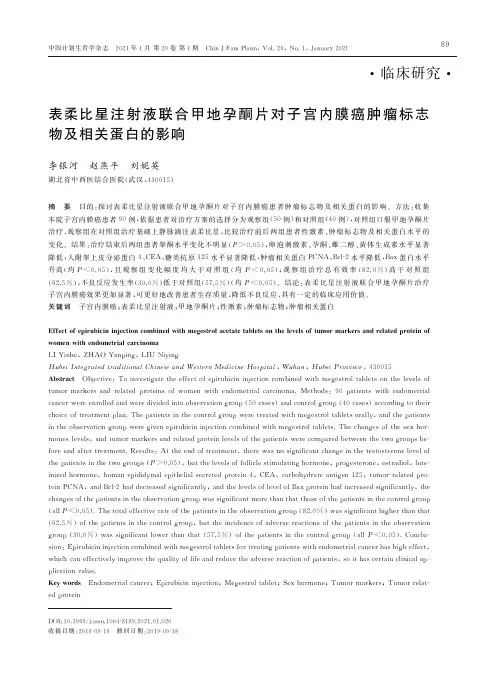 表柔比星注射液联合甲地孕酮片对子宫内膜癌肿瘤标志物及相关蛋白的影响