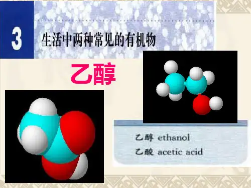 高一化学乙醇精品PPT课件PPT 课件
