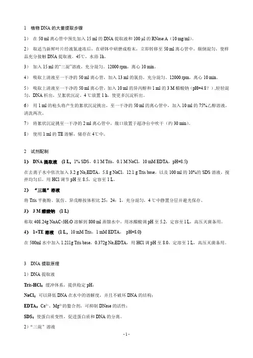 植物DNA大量法提取_SDS法