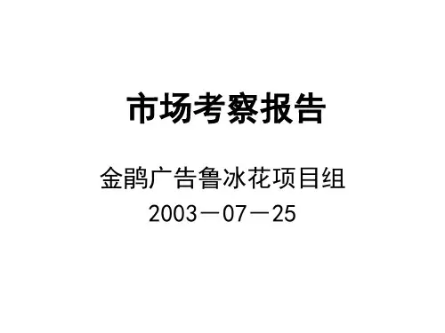 批发市场考察报告.pptx