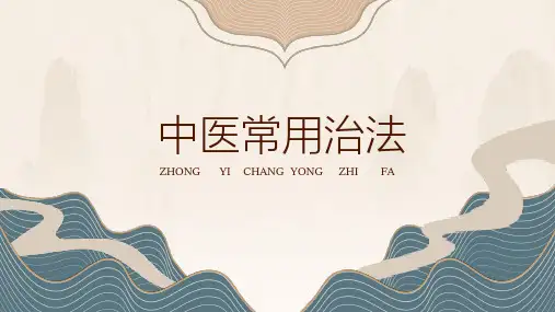 中医常用治法PPT