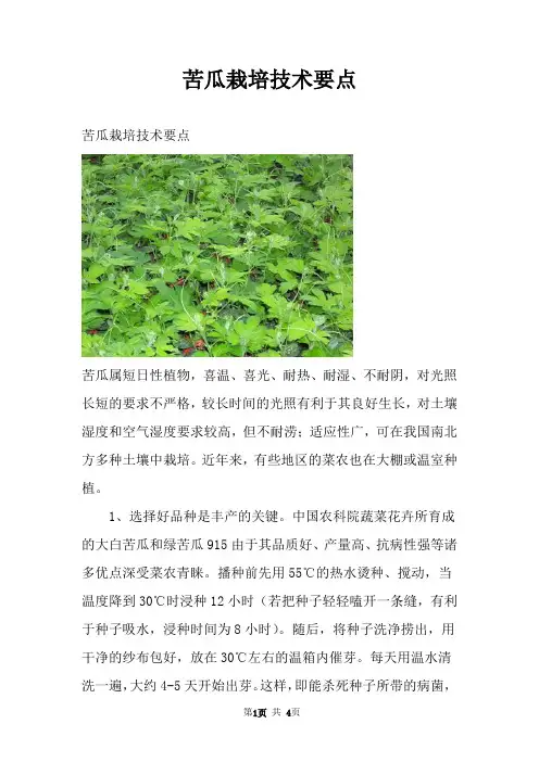 苦瓜栽培技术要点