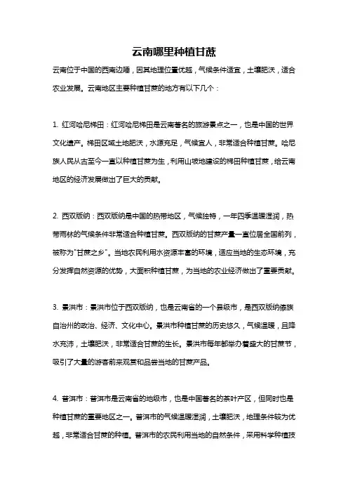 云南哪里种植甘蔗