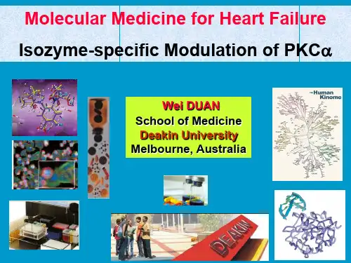心力衰竭的细胞分子生物学基础：PKC激活和心力衰竭-英文课件-24页PPT精选文档