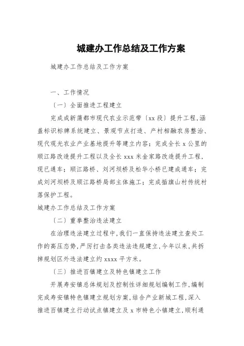 城建办工作总结及工作规划