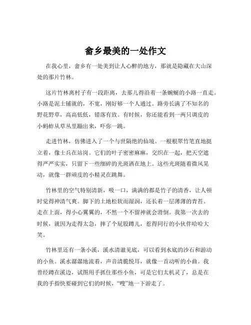 畲乡最美的一处作文