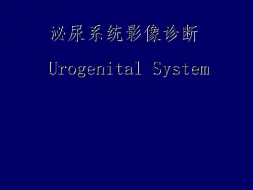 泌尿系统影像学表现(详细、全面)ppt课件