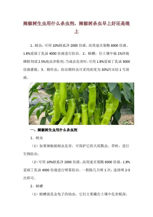 辣椒树生虫用什么杀虫剂,辣椒树杀虫早上好还是晚上