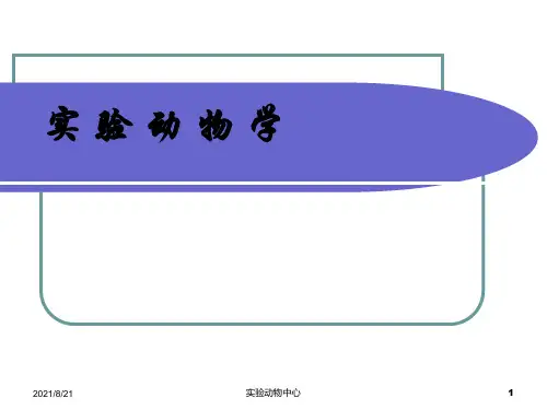 动物实验基本操作