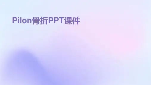 Pilon骨折PPT课件