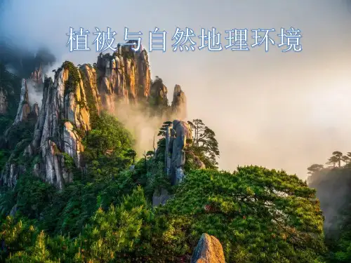高中地理植被与自然地理环境优秀课件